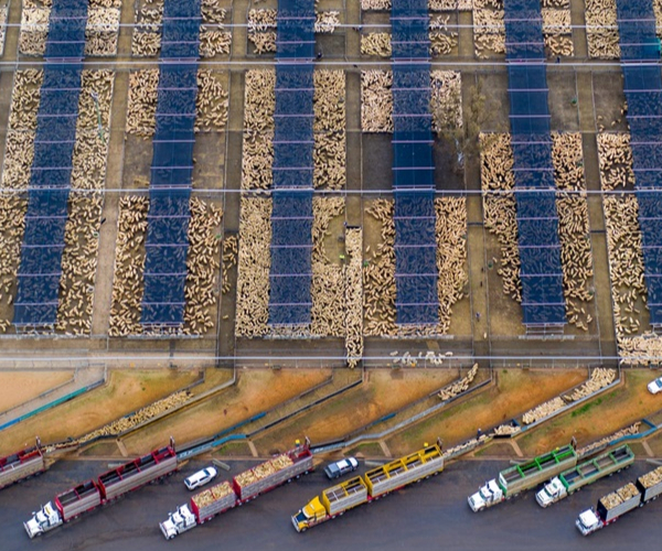 Глобалната търговия с храни: Спасение за милиарди или заплаха за планетата
