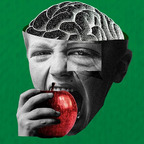 Фибри за Здраве (60 char)
