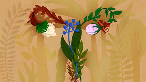 Влагалищна Микробиота