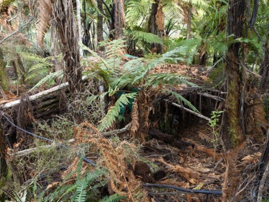 Самоделни Лагери в Нова Зеландия