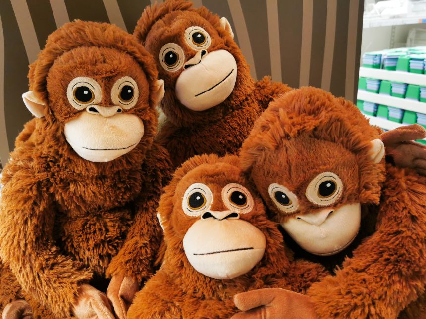 Пуч – Интернет Звезда
